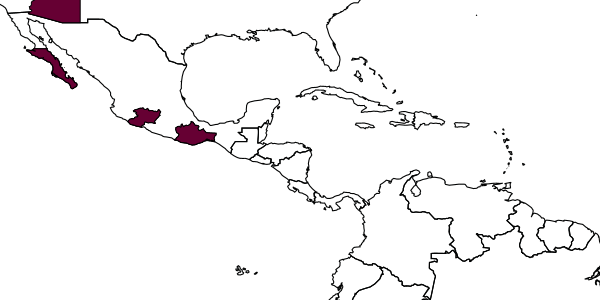 map of Moniaecera foxiana     Pate, 1948